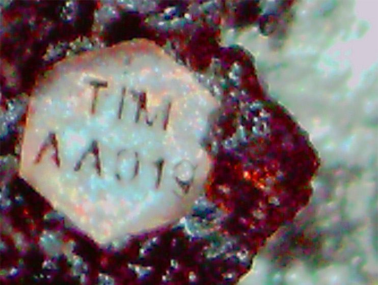 Trace metal 1